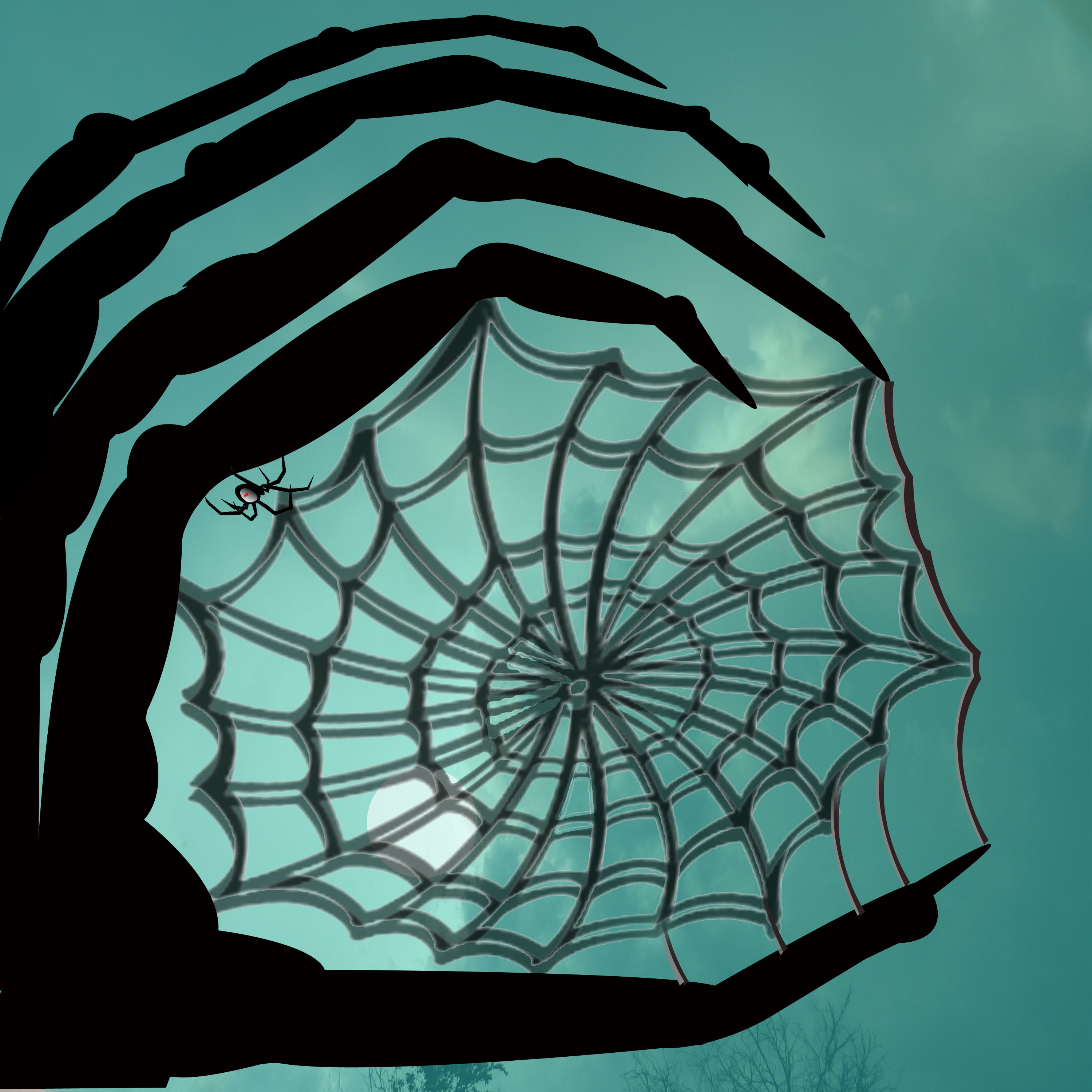 Web Tree Spider