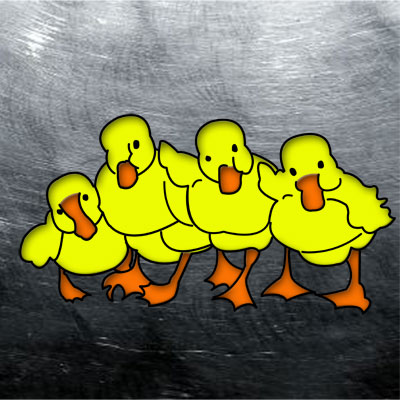 Ducks In A Row - Web Portfolio